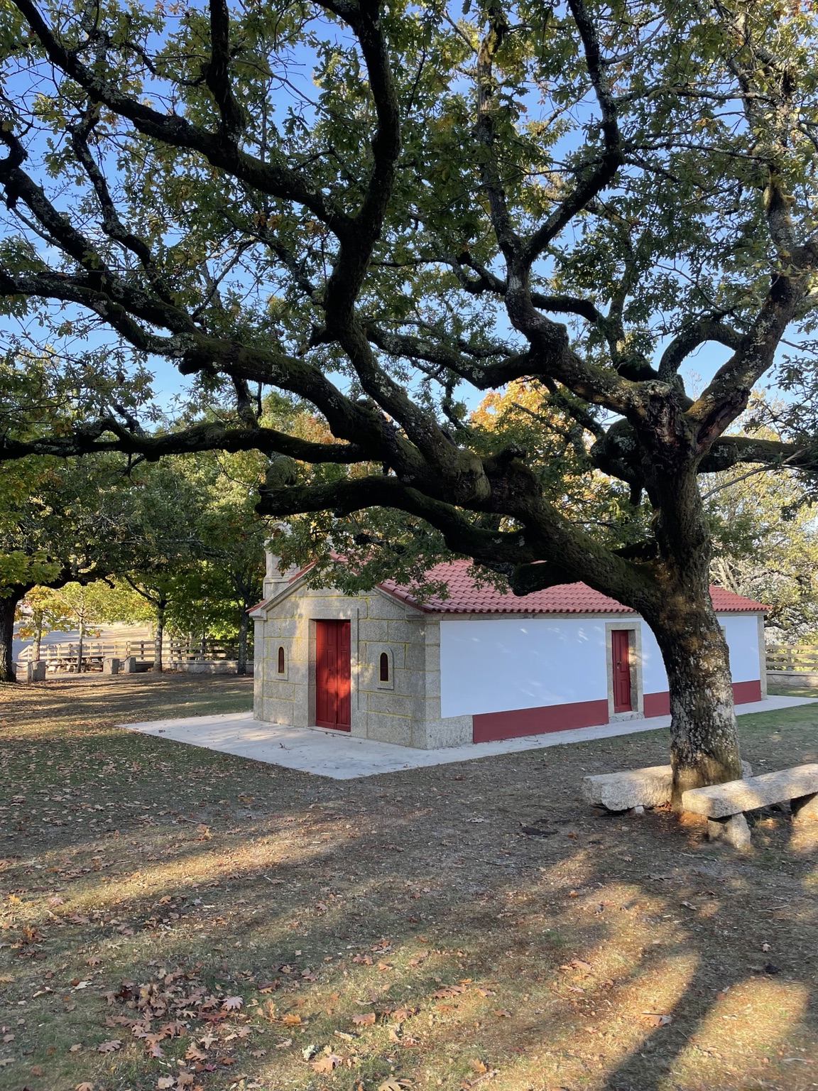 Capela branca com portas vermelhas sob uma grande árvore