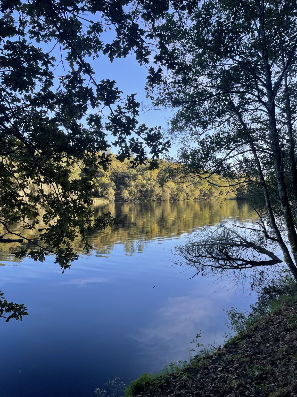 Árvores enquadram o rio Lima e os reflexos da margem